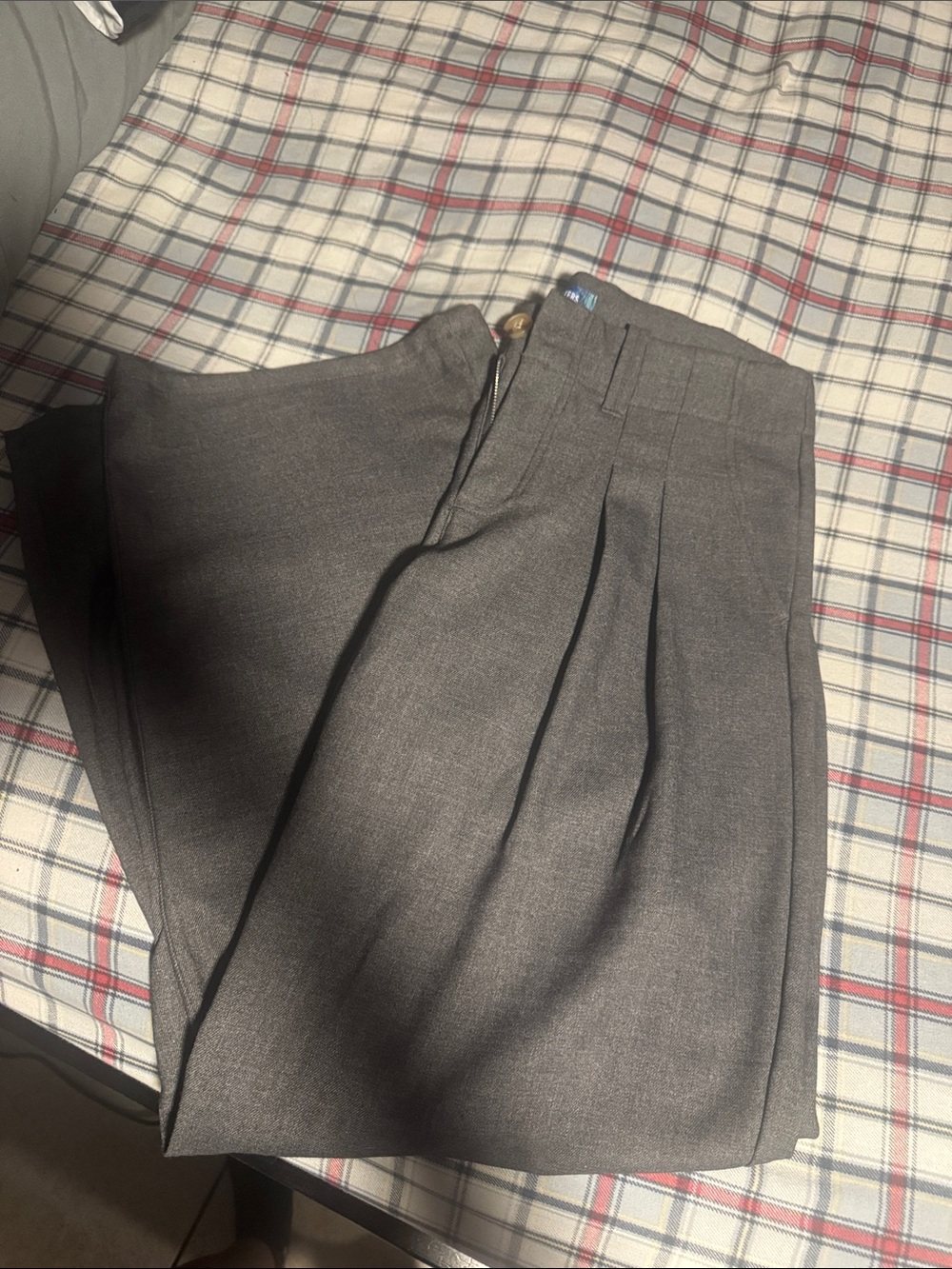 Woman’s Gray Pleated Dress Pants - Classic Fit
